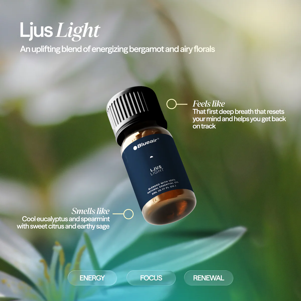 The Awakening Aroma Collection - Image 3