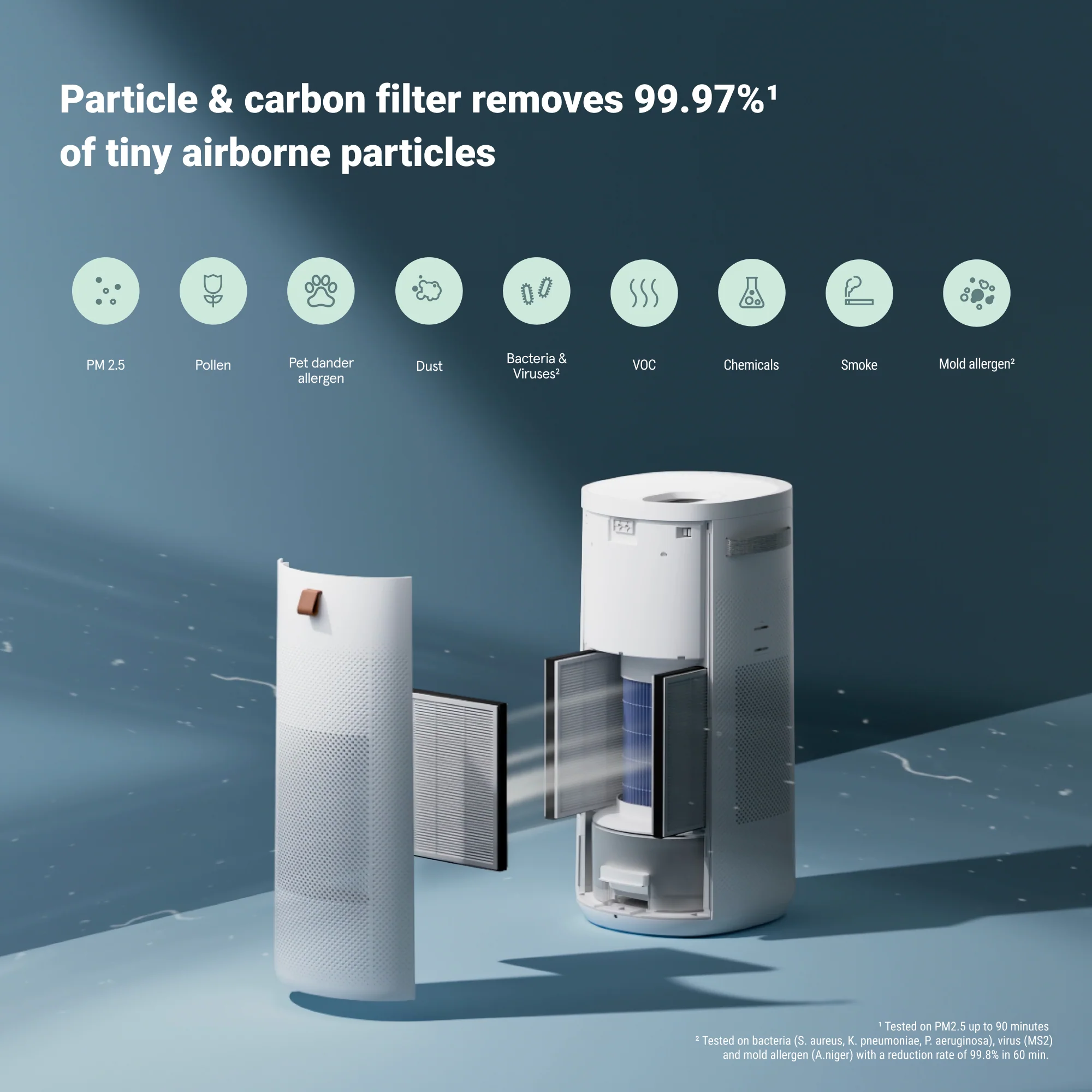 2-in-1 Purify + Humidify Replacement Filters - Image 2