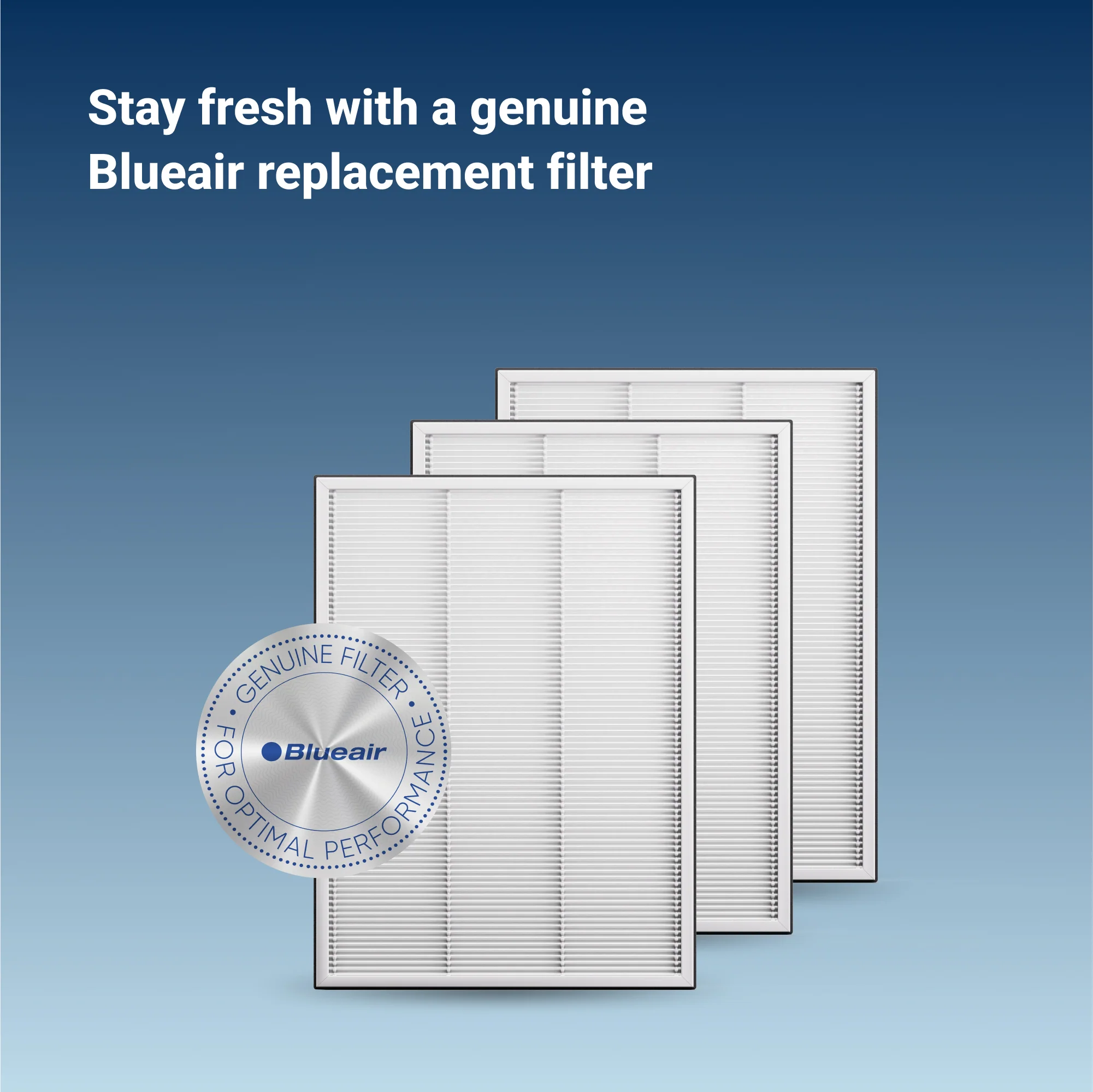 2-in-1 Purify + Humidify Replacement Filters - Image 4