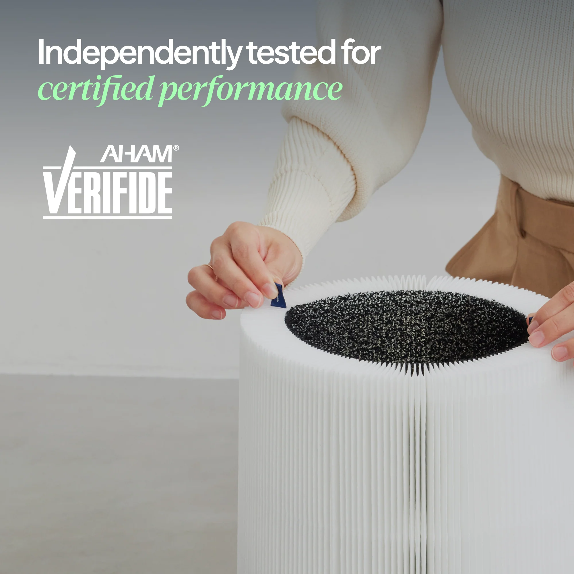 Blue Pure 511i Max Particle + Carbon Filter - Image 3