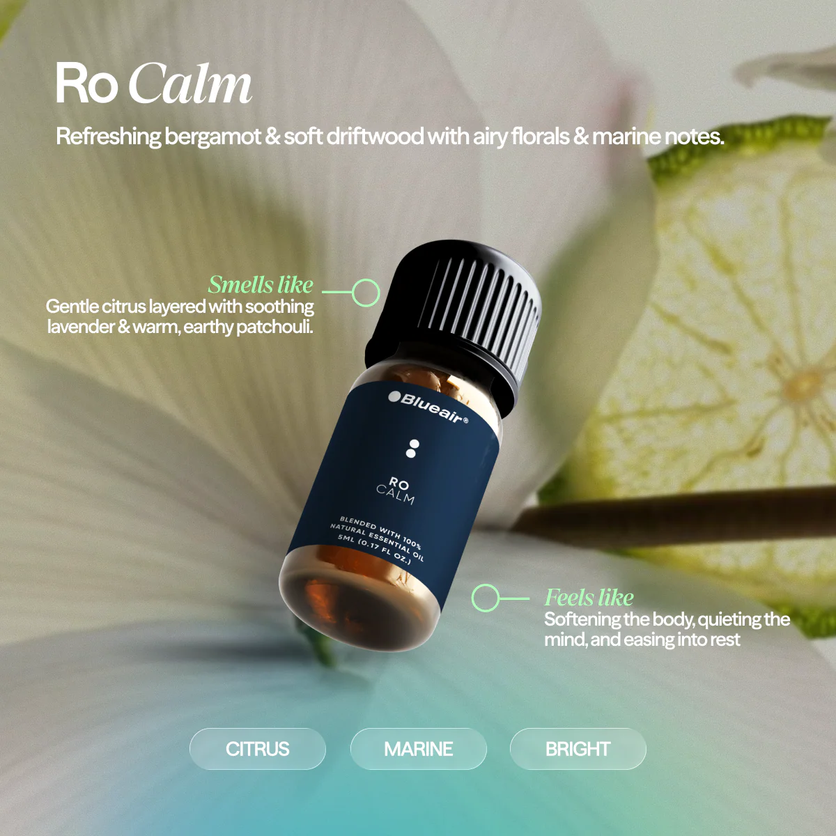 The Serenity Aroma Collection - Image 3